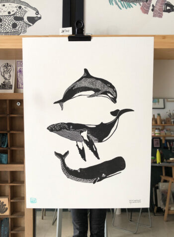 ✶ BALLENAS II ✶