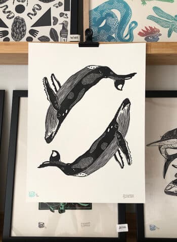 ✥ BALLENAS JOROBADAS ✥