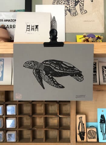 ✹ TORTUGA ✹