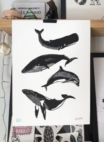 ✶ BALLENAS I ✶