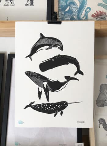 ✶ BALLENAS III ✶