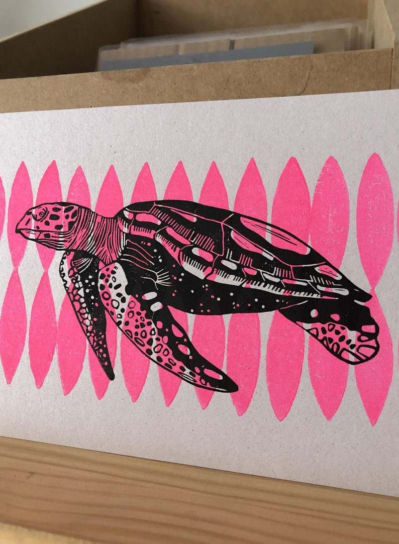 ✹ TORTUGA y rosa fosfo ✹ - Imagen 2