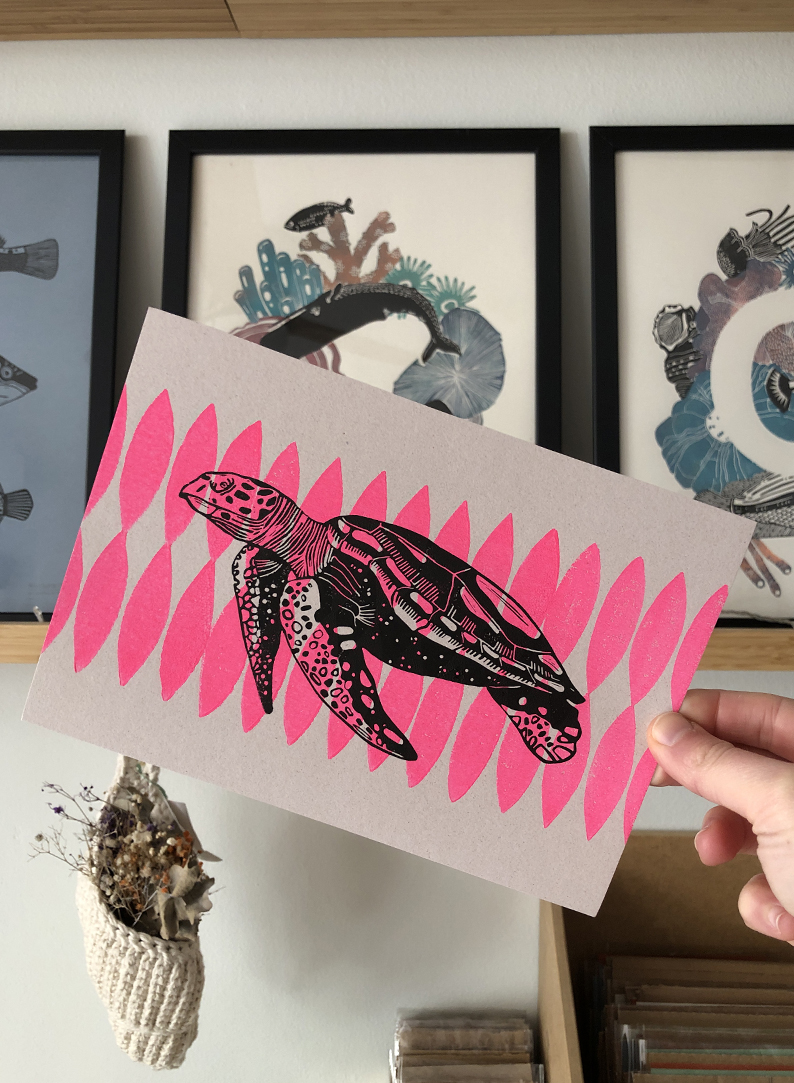 ✹ TORTUGA y rosa fosfo ✹
