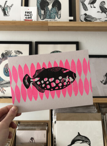 ✹ PAYASO y rosa fosfo ✹