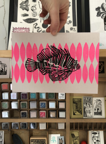 ✹ PEZ y rosa fosfo ✹