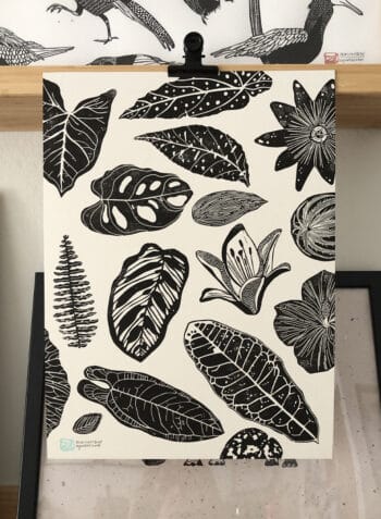 ◓ PLANTAS I ◓