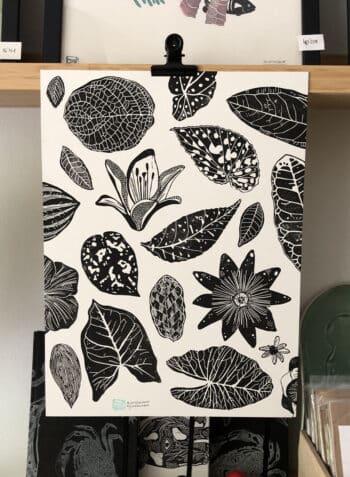 ◓ PLANTAS II ◓