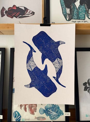 ✥ TIBURÓN BALLENA ✥